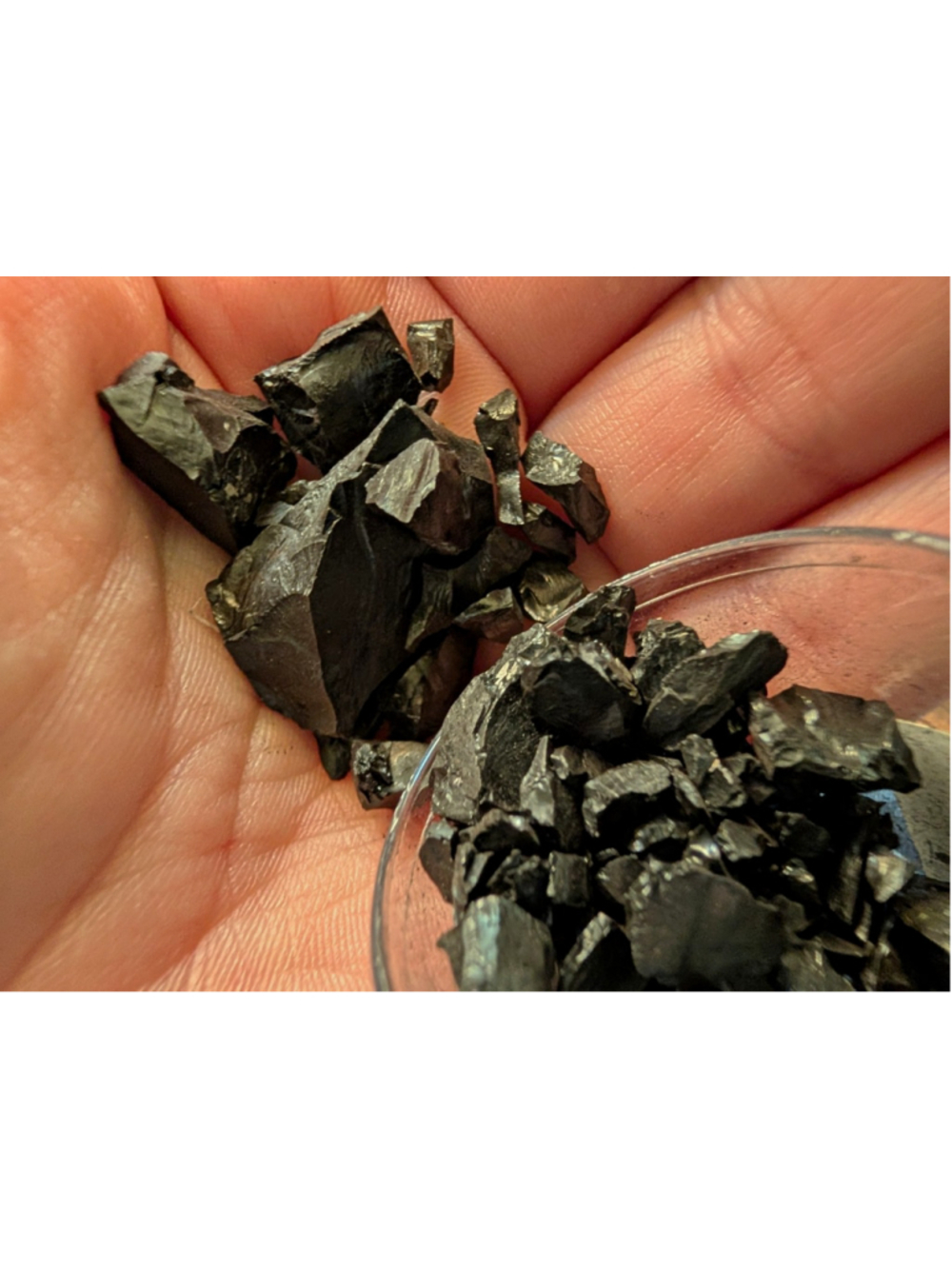 Possible Elite Shungite Rough Black Mineral Stones 24.21g Vintage P&M Vial
